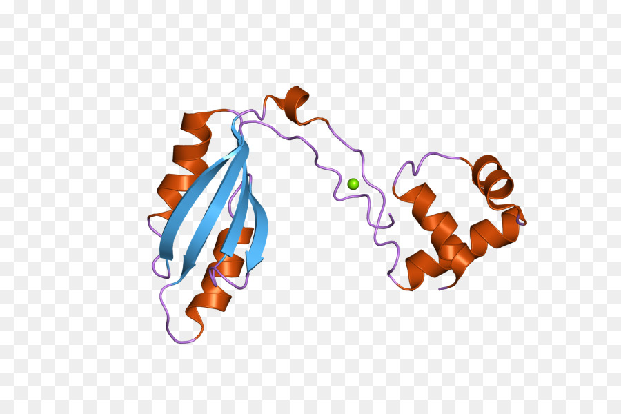 Estrutura Proteica，Molécula PNG