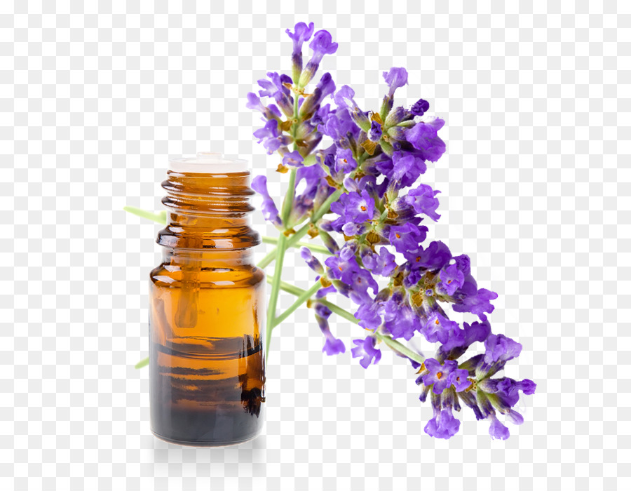 Lavanda，Óleo Essencial PNG