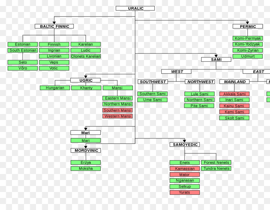 Árvore Genealógica Da Língua Urálica，Idiomas PNG