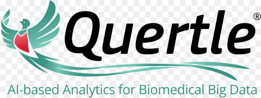 Quertle，Logo PNG