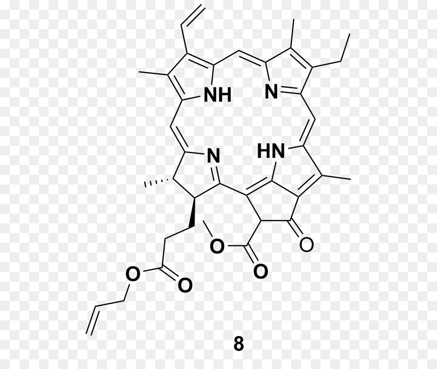 Chlorin，A Clorofila PNG