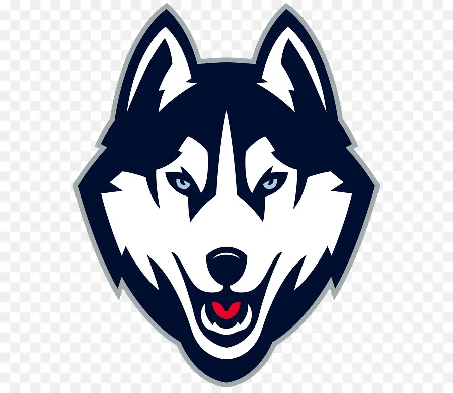 Universidade De Connecticut，Connecticut Huskies De Futebol PNG