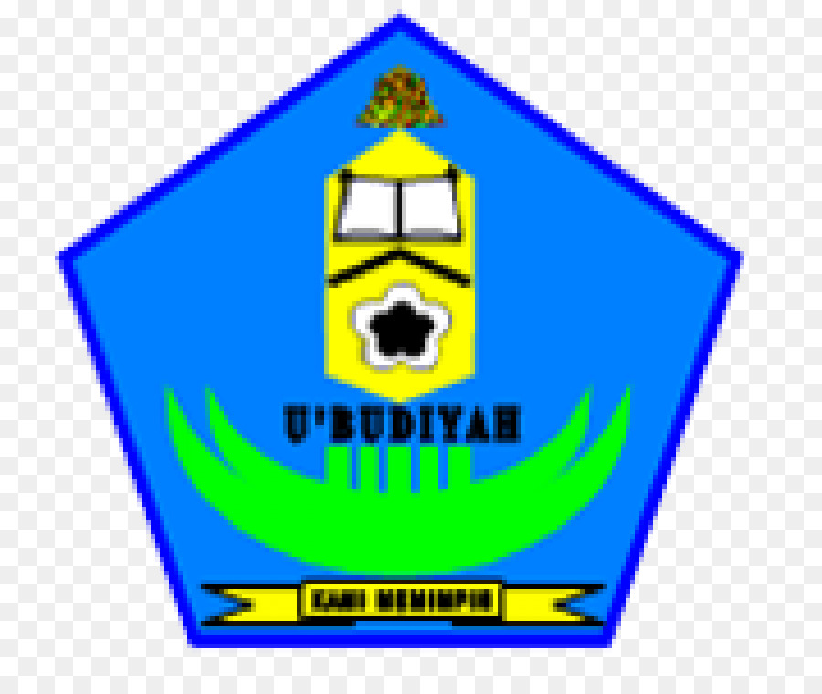 Universitas U Budiyah Indonésia，Investigação PNG