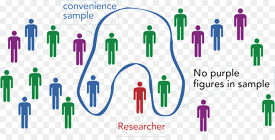 Amostra De Conveniência，Pesquisar PNG
