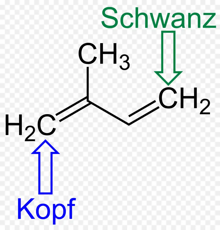 Estrutura Química，Química PNG