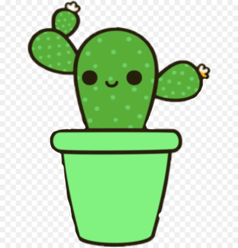 Cactus，Desenho PNG