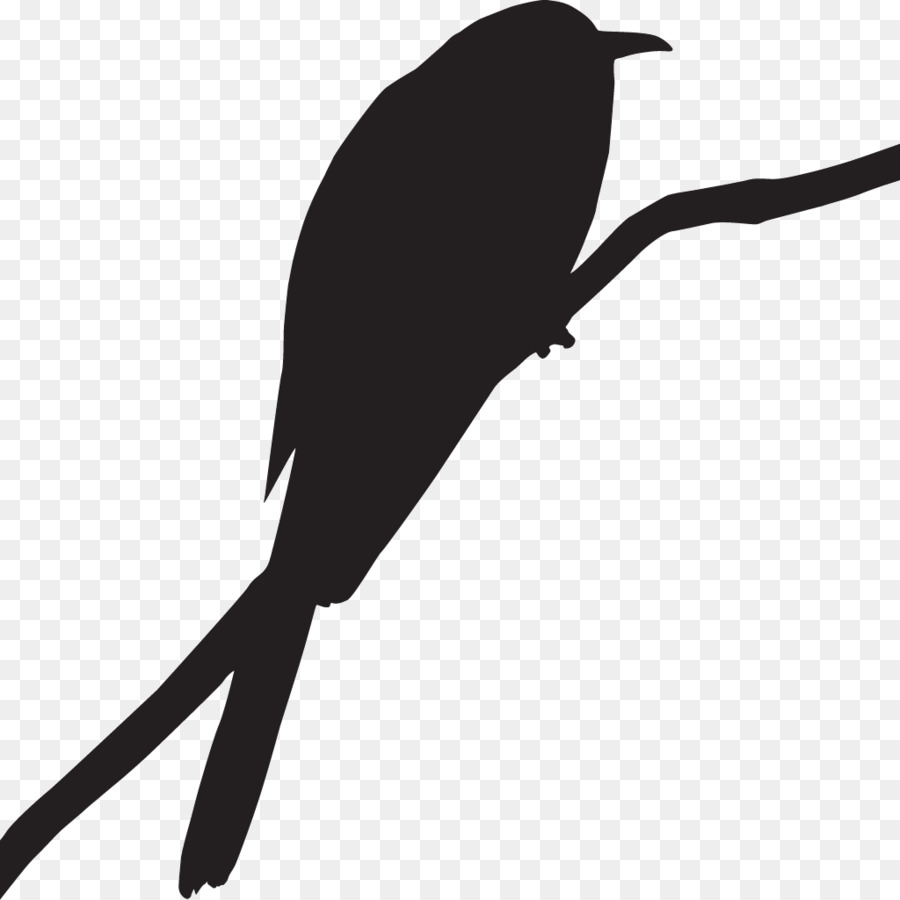 Aves，Cornell Laboratório De Ornitologia PNG