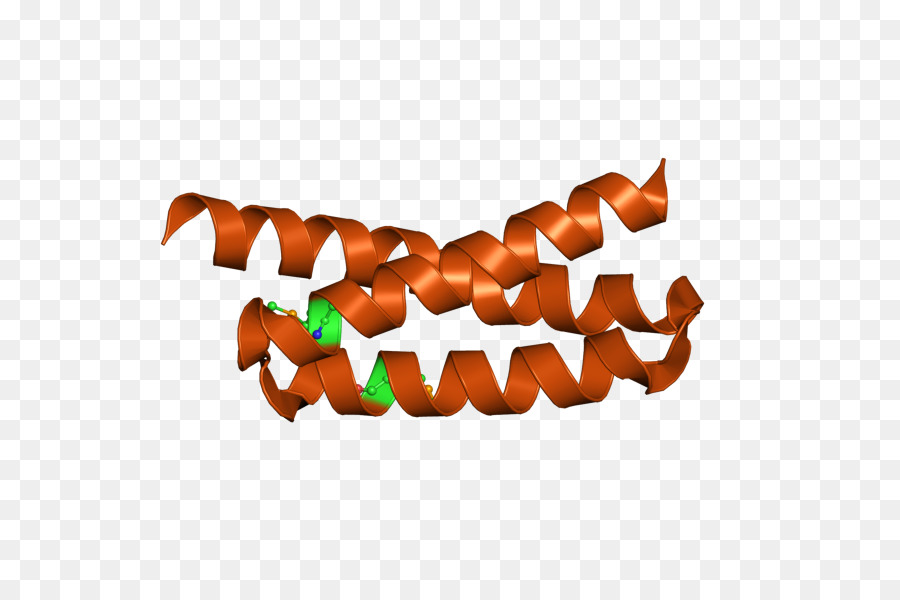 Estrutura Proteica，Biologia PNG