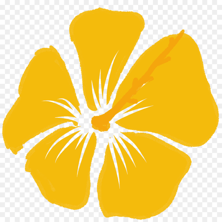 Amarelo，Rosemallows PNG