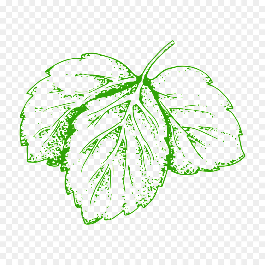 Vegetal，Folha PNG