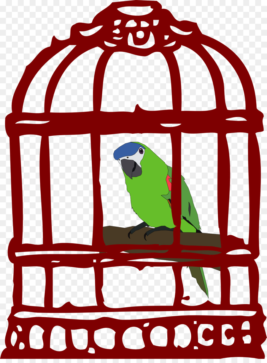 Papagaio，Birdcage PNG