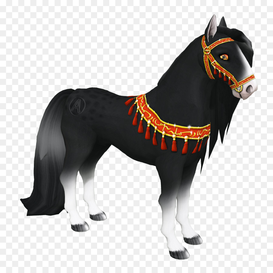 Cavalo árabe，Horse Show PNG