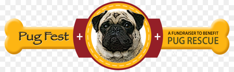 Pug，Raça Do Cão PNG