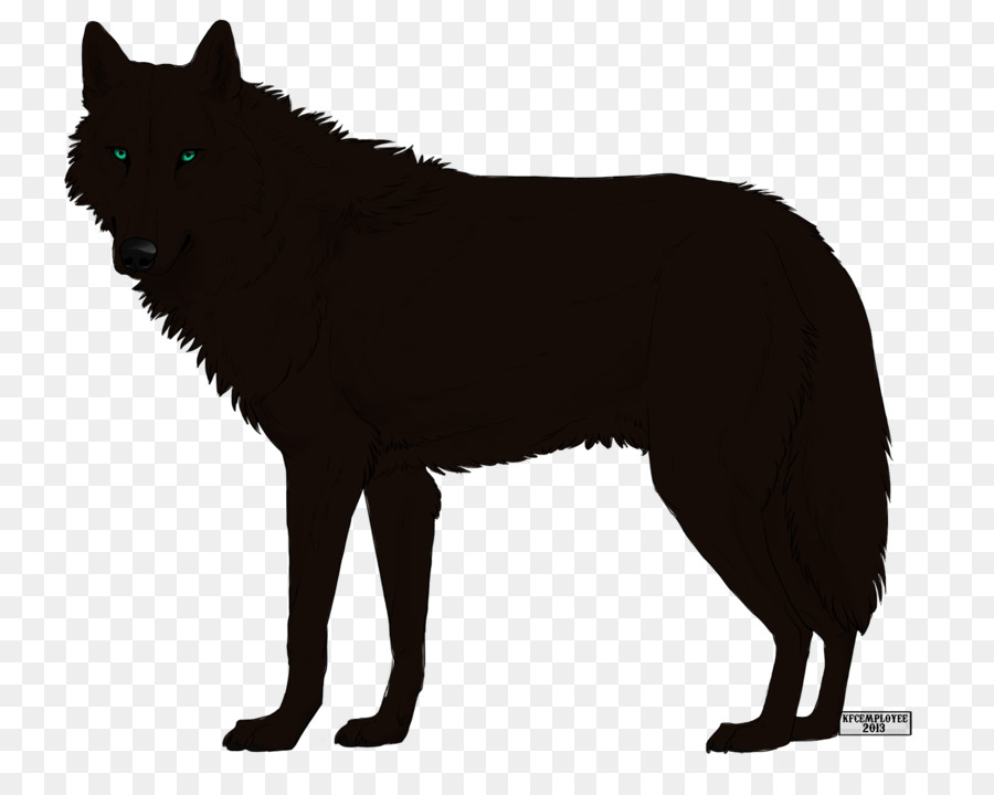 Schipperke，Spitz Finlandês PNG