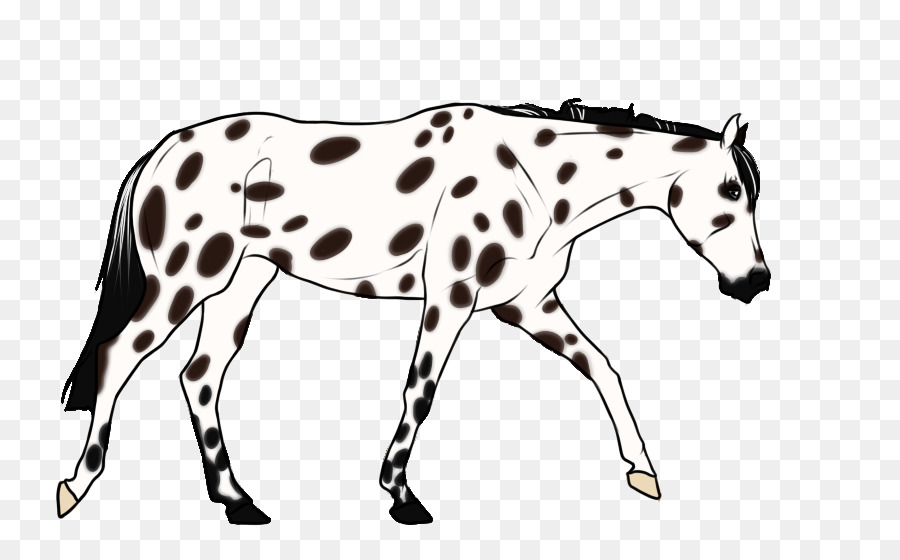 Cavalo Preto E Branco，Cavalo PNG