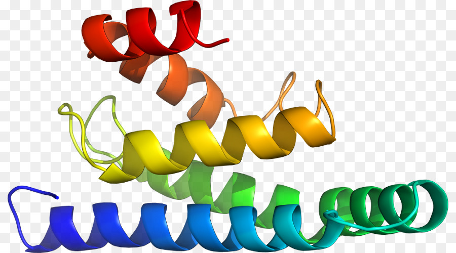 Hélice De Proteína，Molécula PNG