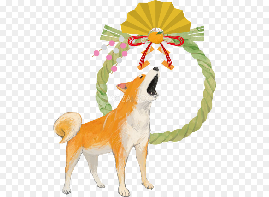 Raça Do Cão，Cachorro PNG