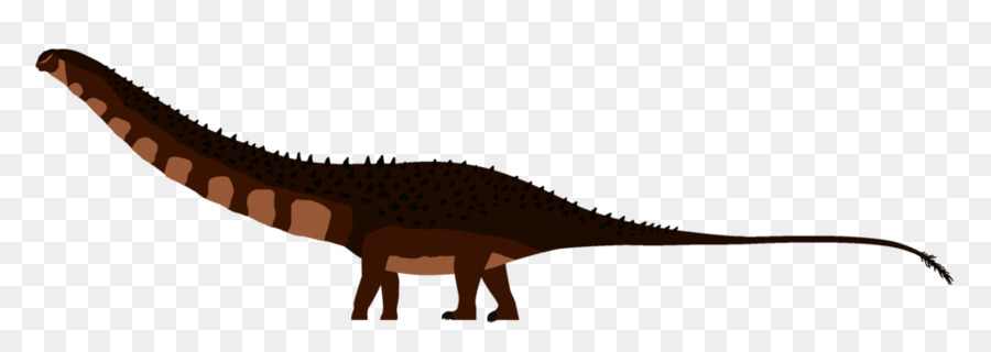 Supersaurus，Dinossauro PNG
