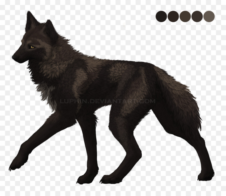 Kunming Wolfdog，Tervuren PNG