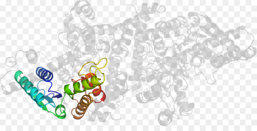 Logo，Organismo PNG