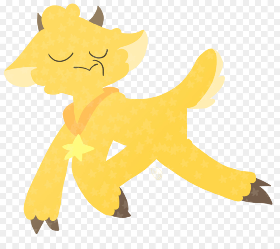 Gato，Cachorro PNG