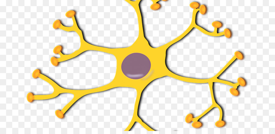 Neurônio，Do Neurônio Motor PNG