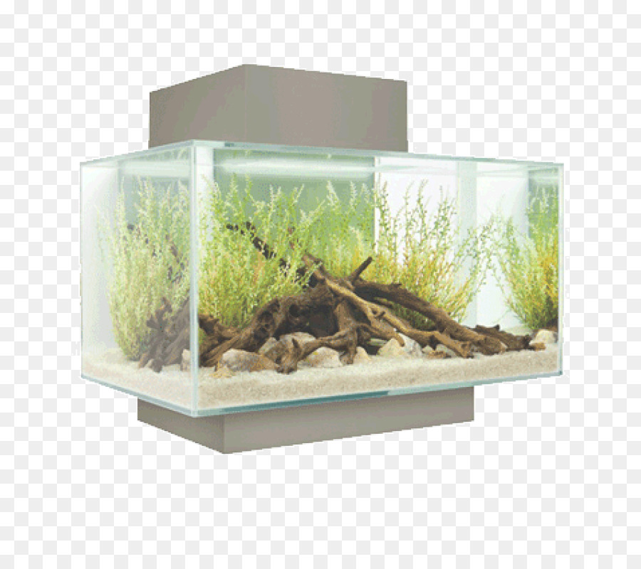 Fluval Borda，Aquário PNG