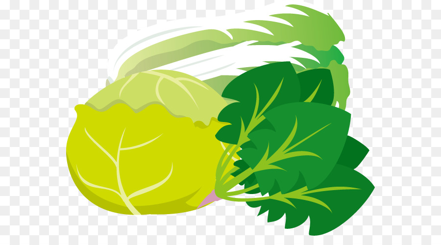 Verdes Repolho Vegetais Folhosos Png Transparente Gratis