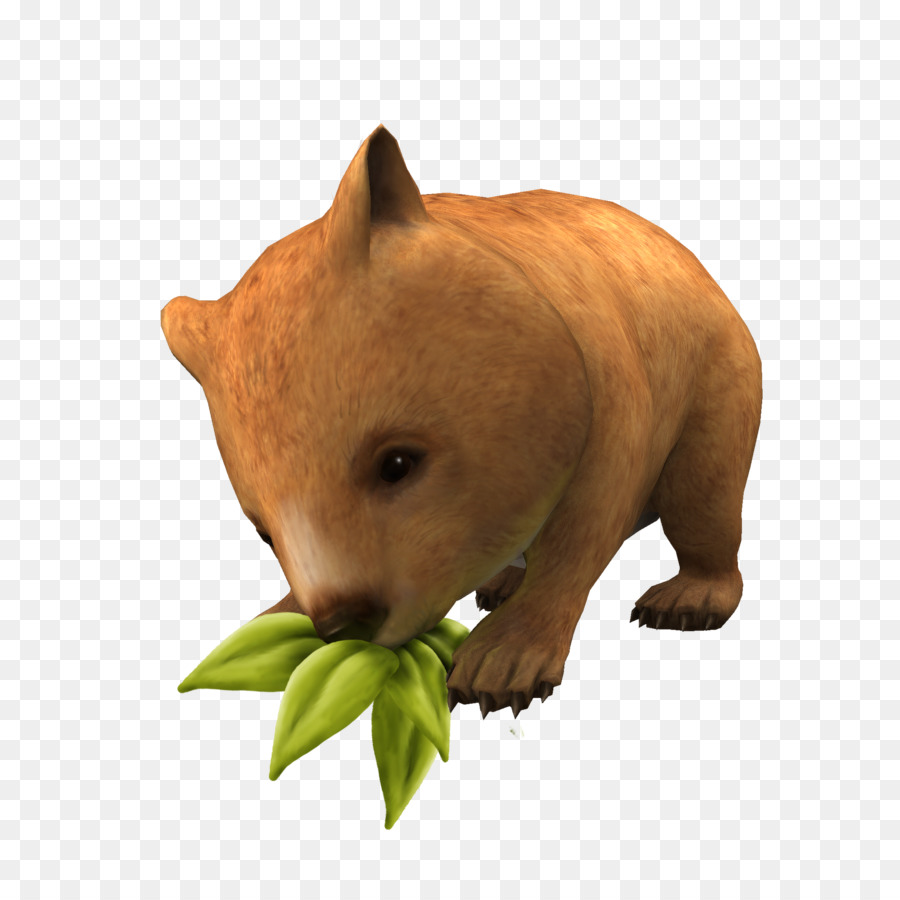 Wombat，A Fauna PNG