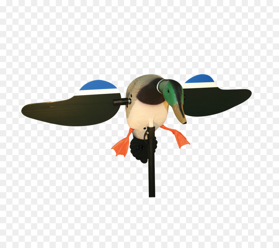 Pato Real，Decoy PNG