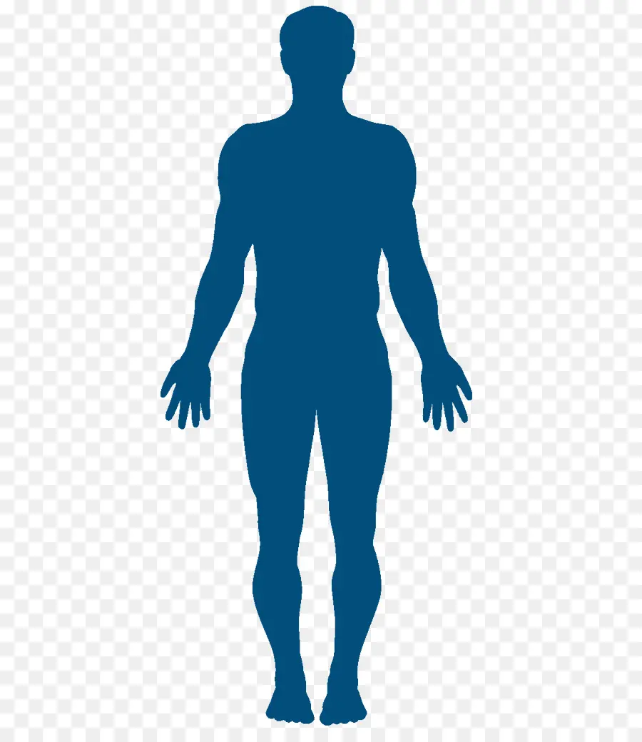 Silhueta，Corpo Humano PNG