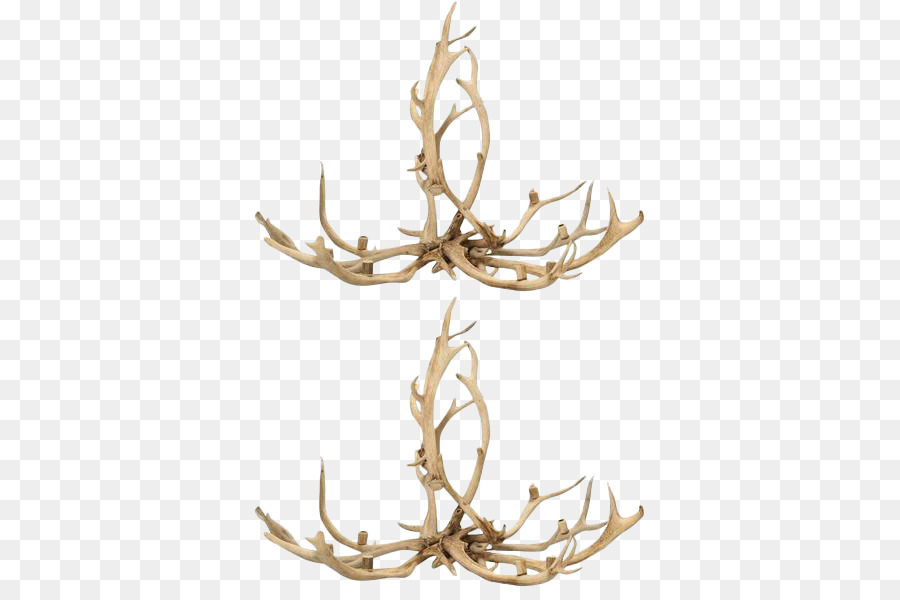 Antler，Red Deer PNG