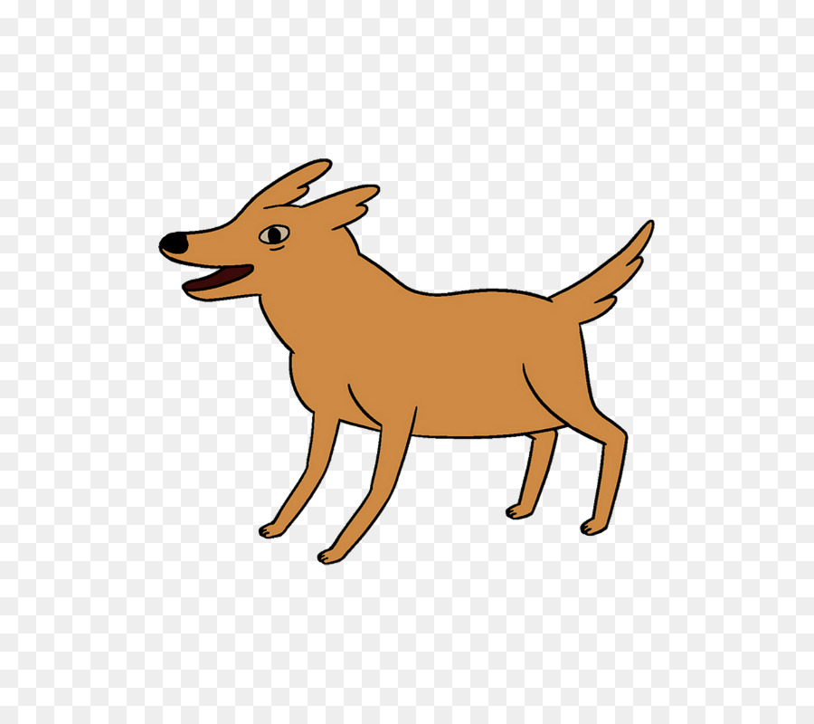 Raça Do Cão，Filhote De Cachorro PNG