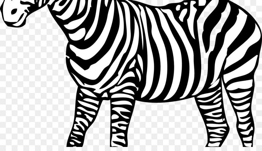 Zebra，Preto E Branco PNG