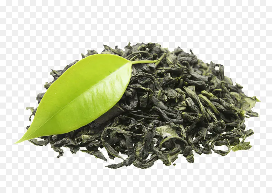 Chá，O Chá Verde PNG