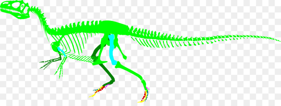 Allosaurus，Saurophaganax PNG