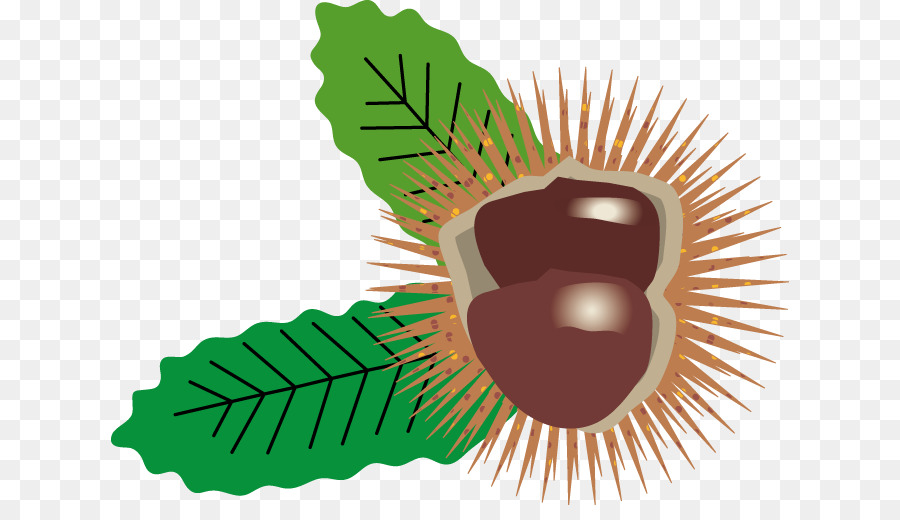 Castanea Crenata，Blog PNG