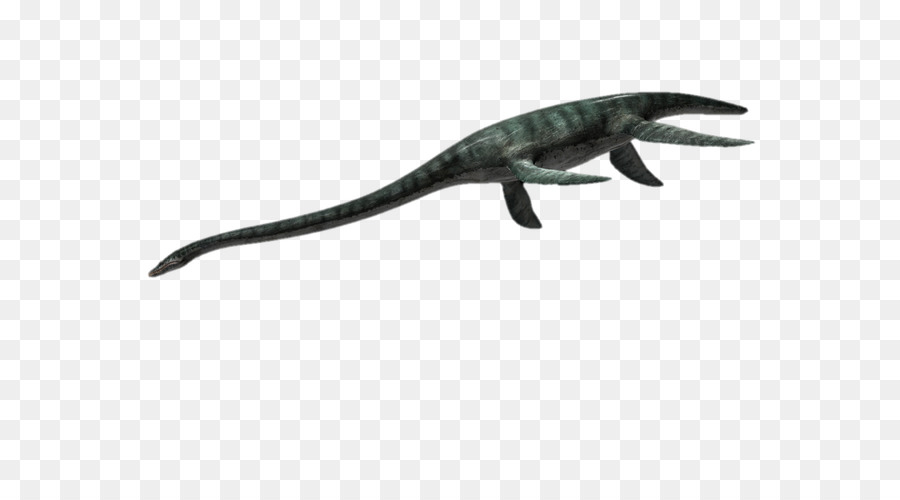 A Fauna，Dinossauro PNG