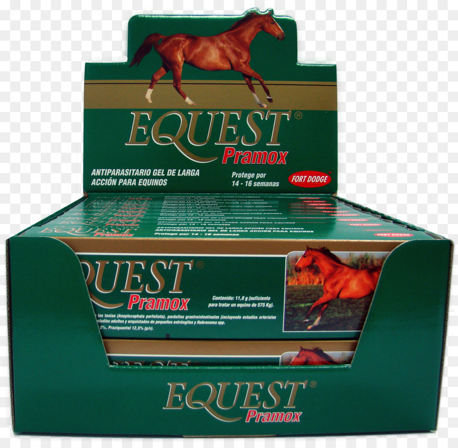 Equest Pramox，Cavalo PNG