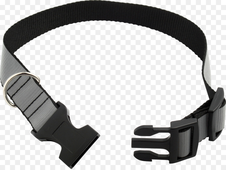 Belt，Cachorro PNG