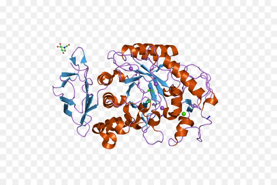 Deep，Alphaamylase PNG