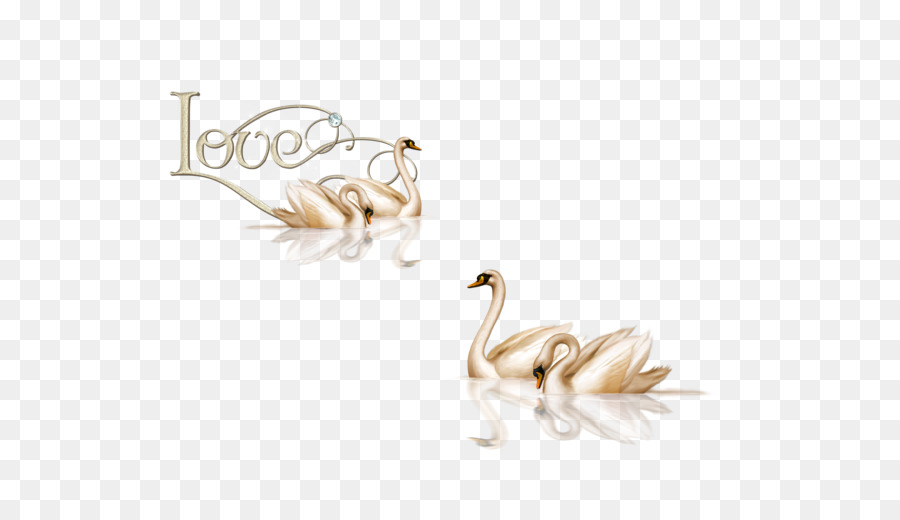 Ganso，Cisne PNG