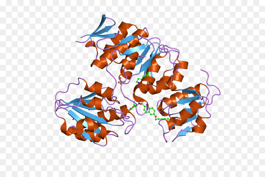 Estrutura Proteica，Molécula PNG