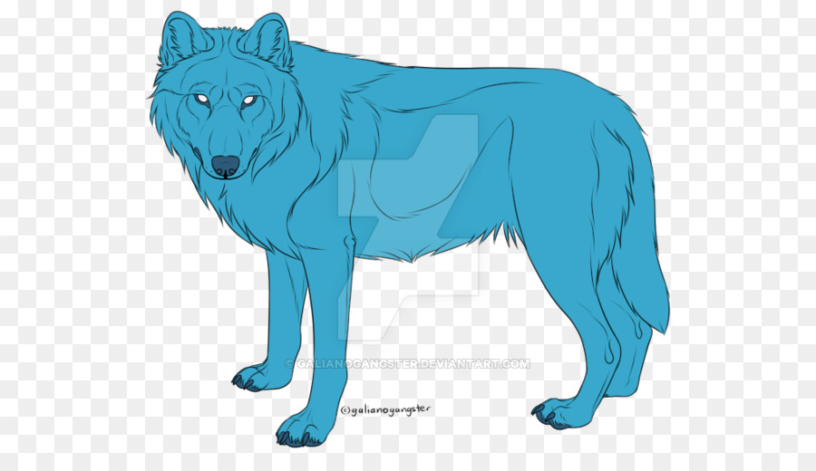 Lobo，Branco PNG