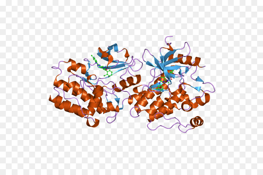 Abl Gene Bcr Png Transparente Gr Tis