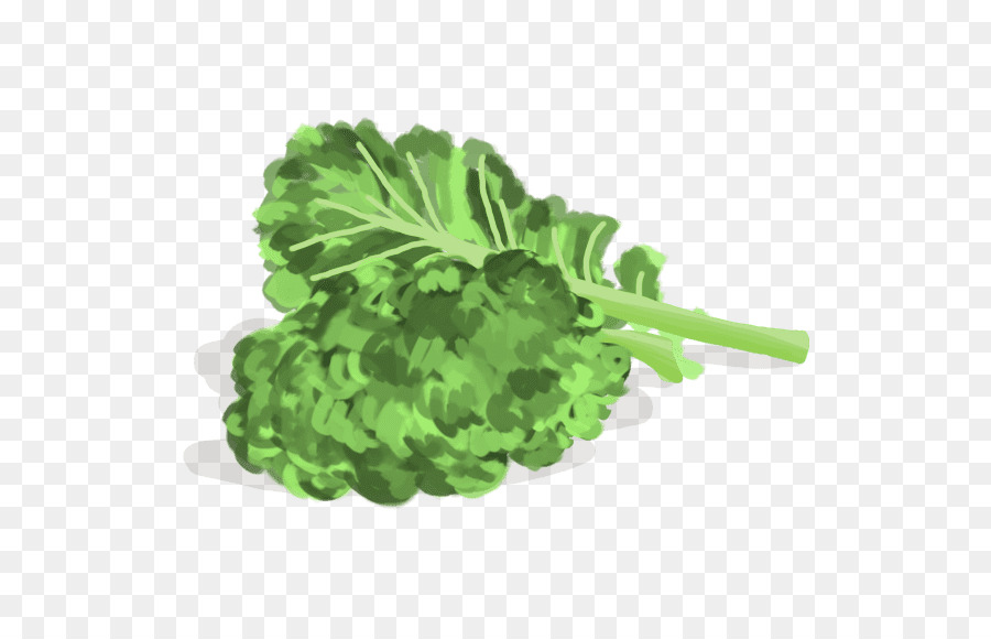 Vegetais De Folhas Verdes，Folha PNG