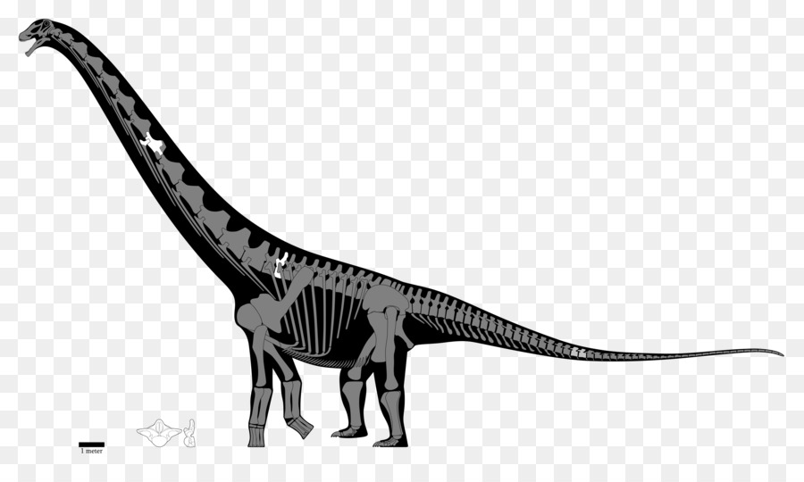 Dinossauro De Pescoço Comprido，Pré Histórico PNG