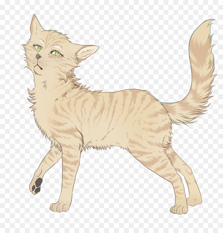 Gato，Felino PNG