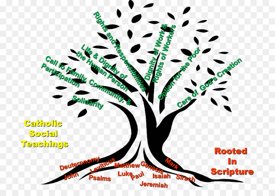 Diagrama De árvore，Galhos PNG