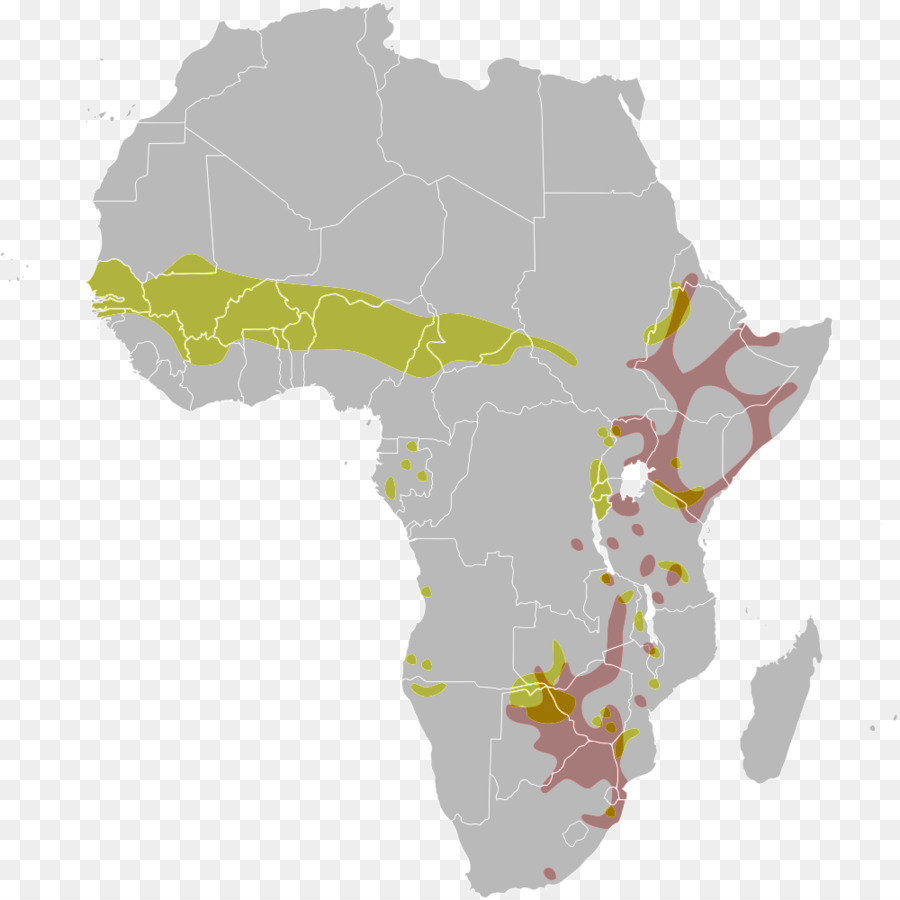 Mapa De África，Continente PNG